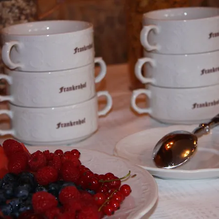 Hotel Bio Frankenhof Garni 3*