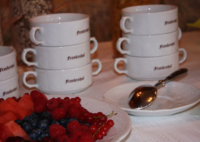 酒店 Bio Frankenhof Garni 3*